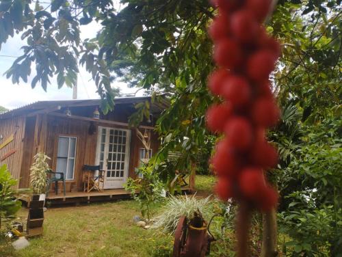 Lejanias House | Hostal La Cabaña