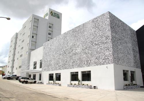 Alagoinhas Hotel | Hotel Áster