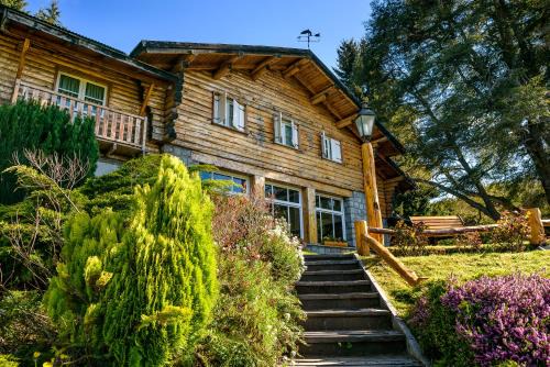 Angostura Hotel | Hotel Angostura