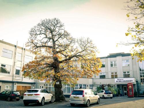 Bournemouth City Centre Hotel | Hotel Celebrity Bournemouth East Cliff by Villare hotels