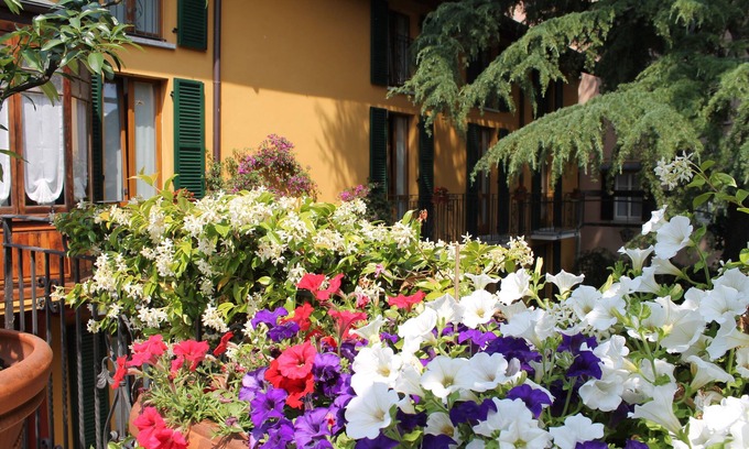 Bellagio Hotel | Hotel Centrale