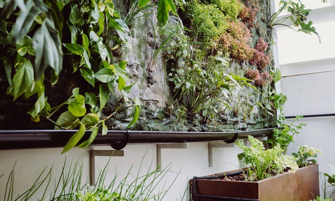 Las Palmas de Gran Canaria Hotel | Hotel Catalina Plaza