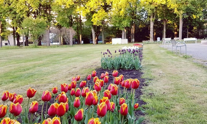 Bad Windsheim Hotel | Hotel Garni Goldene Traube