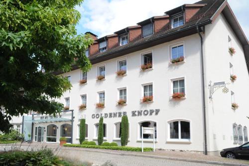 Bad Saeckingen Hotel | Hotel Goldener Knopf