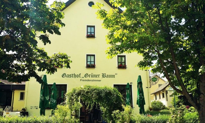 Tauberbischofsheim Hotel | Hotel-Landgasthof Grüner Baum - Dittigheim