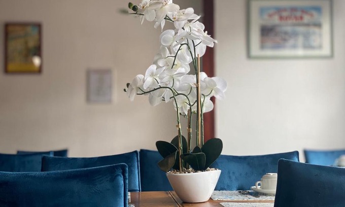 Royan Hotel | Hotel le Pasteur