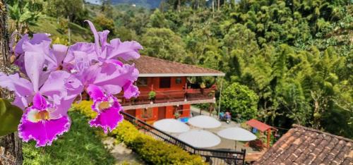 Jardin Hotel | Hotel Orillas del Pizano