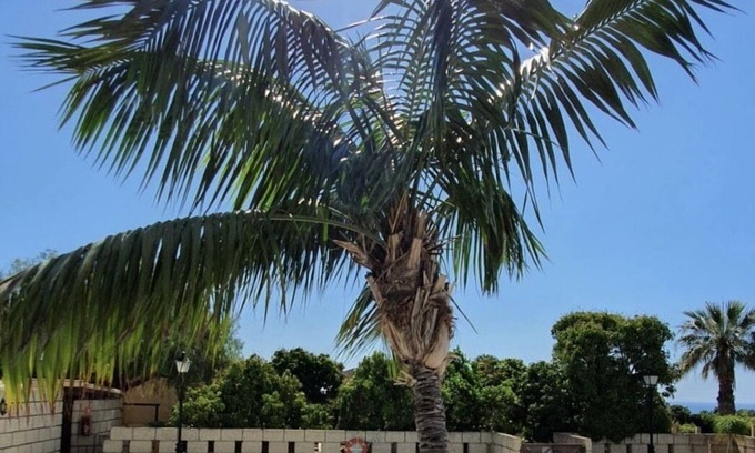 Guimar Hotel | Hotel Rural Finca Salamanca