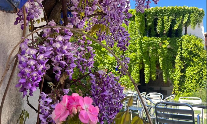 Brazatortas Hotel | Hotel Rural las Cinco Ranas