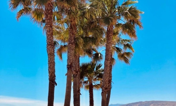 Almeria Hotel | Hotel Sol Almería