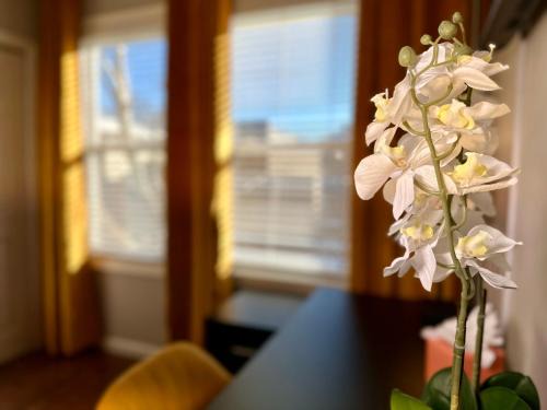 McGinley Square House | Hotel-Style, No Host, Professionally Managed ID267