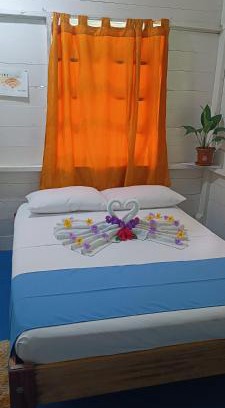Puerto Narino House | Hotel Tatüane mundo Amazónico