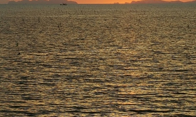 Boryeong Hotel | Hotel Wooyeon Flora