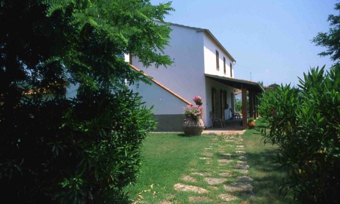 Massa Marittima House | House among the olive trees with swimming pool