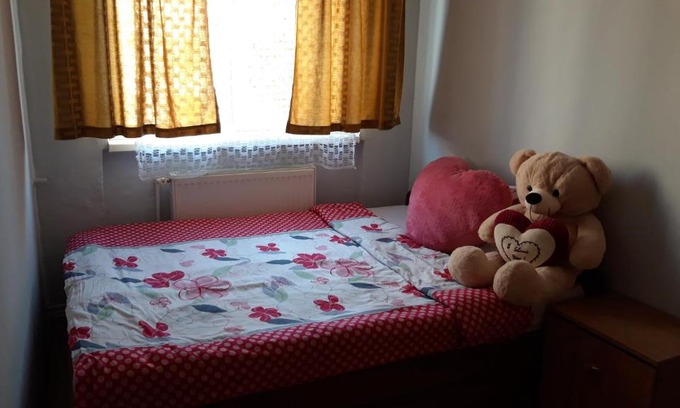 Deva Apartment | House Cosmina