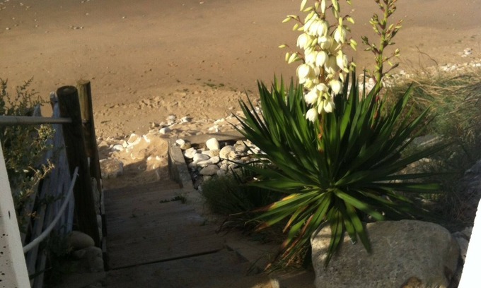 Longeville-sur-Mer House | house facing the sea with PRIVATE SPA AND immediate and private ACCESS TO THE BEACH