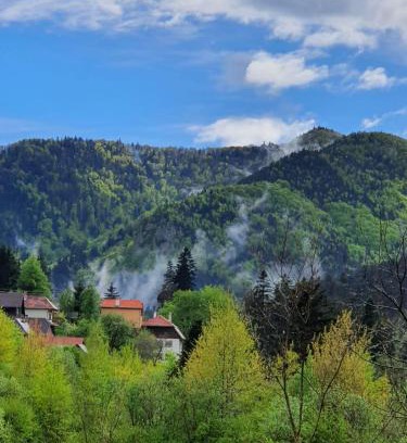 Baile Tusnad House | House of Laura