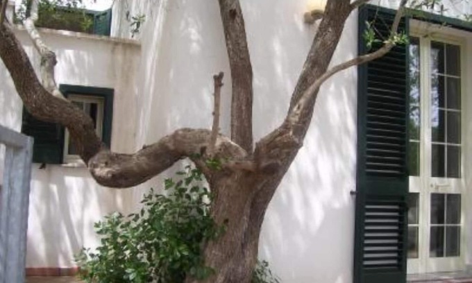 Marina di Andrano House | house/villa - 10 rooms - 16/20 persons