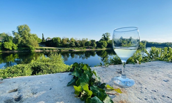 Lamonzie-Saint-Martin House | House with private pool and jacuzzi, panoramic river view