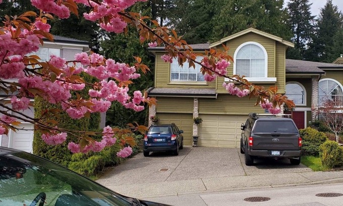 Westwood Plateau Apartment | HUGE 3 BR with KINGBED and GREENBELT + BACKYARD