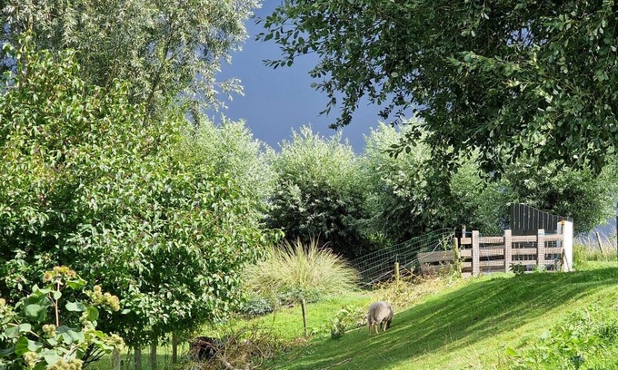 Dreischor Apartment | Huize Dijkwater