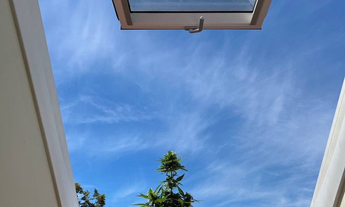 Rettenberg Condo | Hummer Paradies