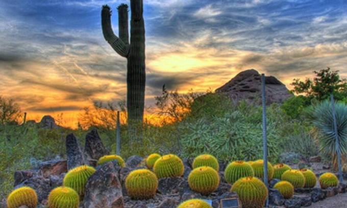 Tempe Hotel | Ideal Mix of Comfort and Value! 3 Comfortable Units, Pool, Free Breakfast