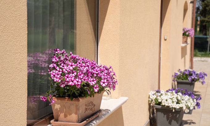 Casenuove Bed & Breakfast | Il Castellaccio