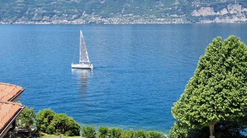 Brenzone sul Garda House | Il Nido