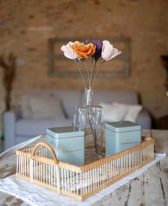 Buonconvento Apartment | Il Nido