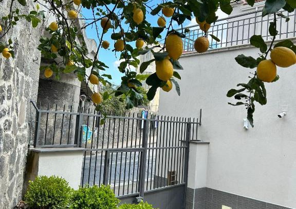 Sant'Anastasia Bed & Breakfast | Il Ponte a Vapore Guest House