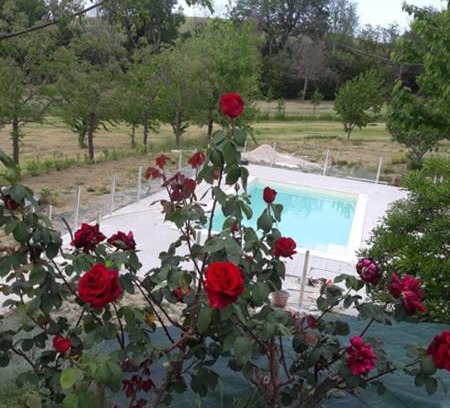 Bettolelle Bed & Breakfast | Il Rifugio dell'Ape Agriturismo