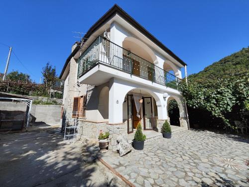 Tramonti Villa | Il Vigneto