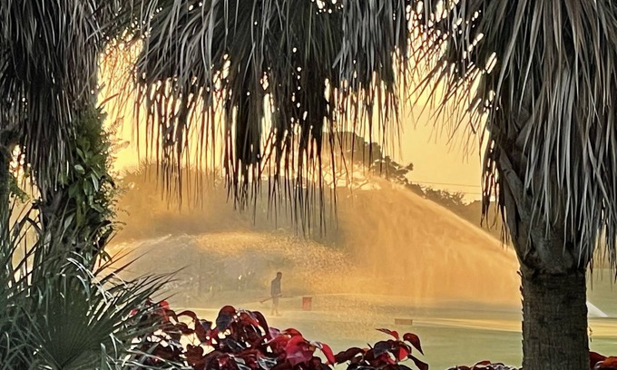 Palm River Estates House | Immaculately maintained 4 bd 3 ba home feat private pool on LaPlaya golf course.