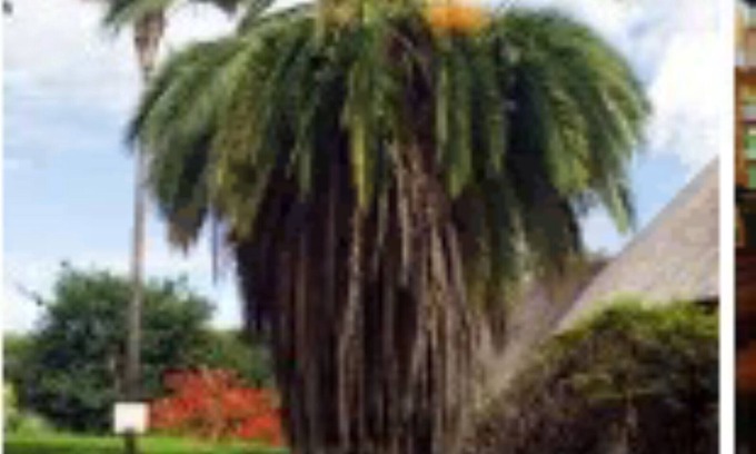 Harare East House | Ingwe One bedroom one bathroom