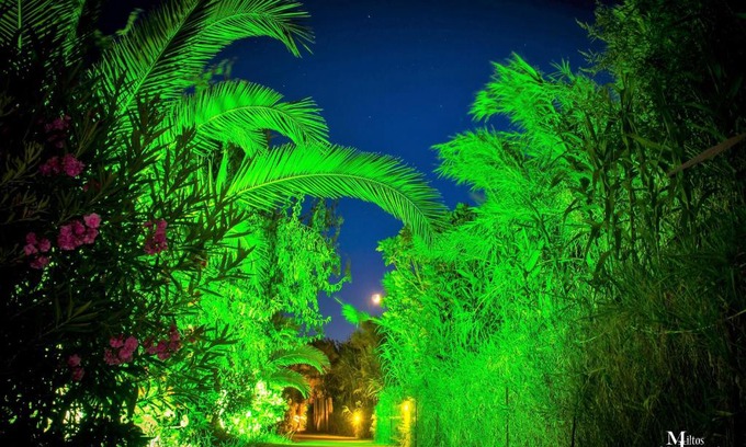 Lesvos Apartment | Ionos