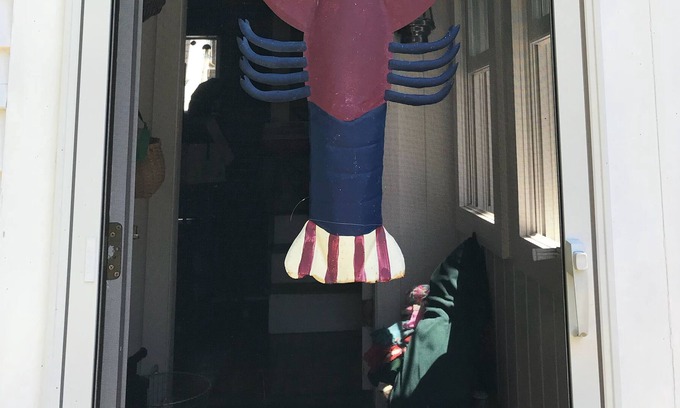 Peaks Island House | Island living: walks, biking, ocean views, all a 20min ferry-ride from Portland