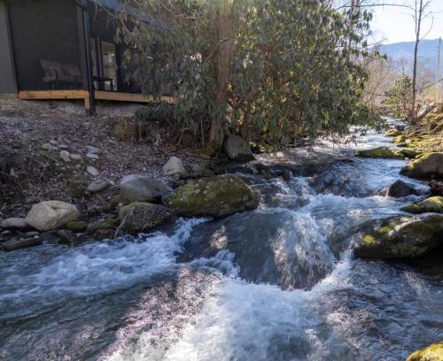 Cosby House | Ivy's Cottage, Pickleball Court, Creek, WIFI, Mountain Views, Starting at 79"