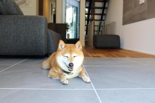 Hatago Oda Onsen House | Izumo-shuku MAICHI STAY - Vacation STAY 00202v