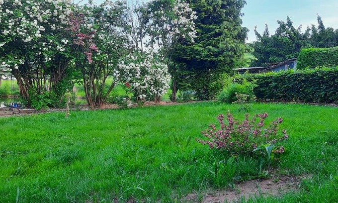 Gersdorf Apartment | Jagdsteinblick
