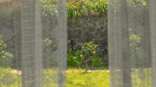 Pyeongdae-ri House | Jeju Pyeongdae 41street Pension