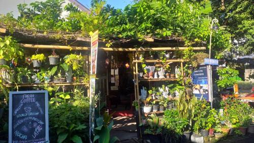 Chang Moi House | Jimmy and Jeng Homestay