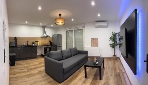 Fontaines-sur-Saone Apartment | joli appartement T4