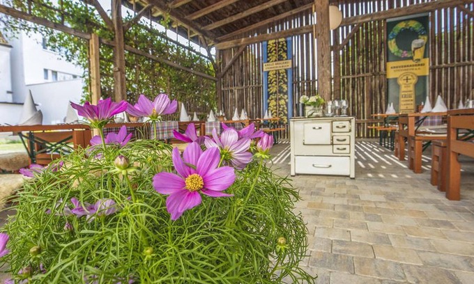Sontheim im Stubental Apartment | Junior suite for max. 3 persons