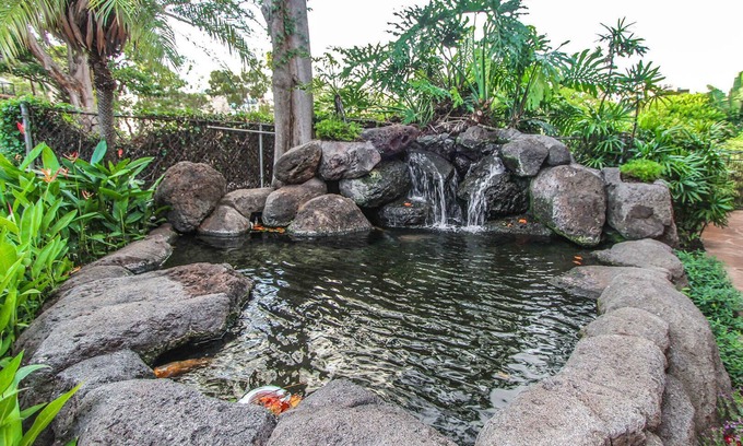 Port Coquitlam Apartment | Kahana Falls Maui Studio for 2 kitchenete 1 week Jan 13 to 20