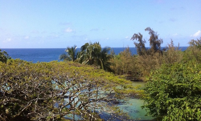 Hilo Condo | KAILANI at Mauna Loa Shores, Fantastic Condo, Swim with the Sea Turtles