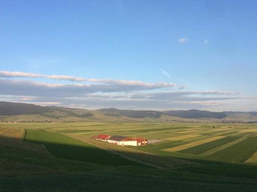 Armaseni Noi House | Kavalliera Pensiune