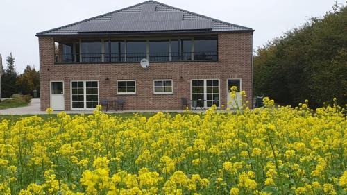 Hulst Apartment | Klein Cambron