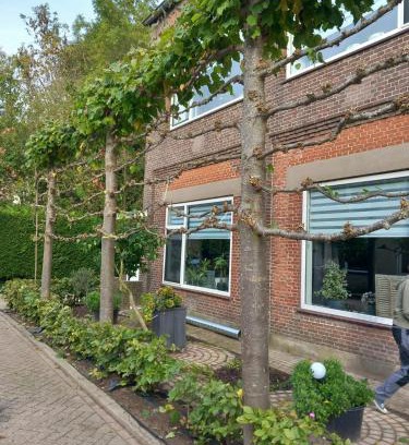 Achthuizen Bed & Breakfast | Klooster Achthuizen