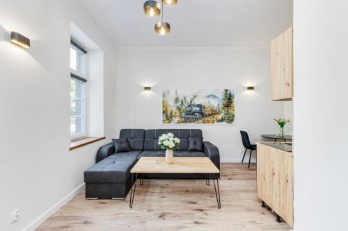 Radkow Apartment | Kolejowy Zakątek - Apartament w Ścinawce Średniej